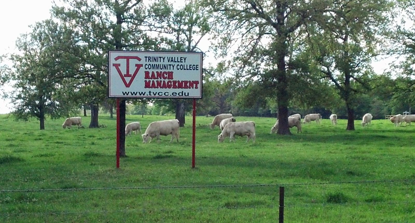 TVCC Ranch Management sign