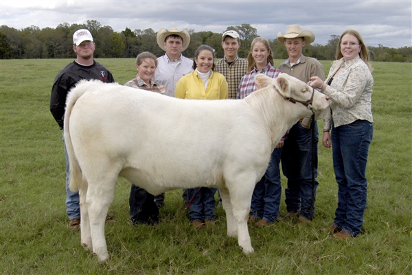 Members from left to right: Cody Akins, Fruitvale Sarina Williams, Brownsboro Cody Hines, Brownsboro Morgan Miller, Cross Roads Stephen Hill, Grand Saline Ashley Goodson, Captain, Edgewood Ryan Sims, Edgewood Jenni Largent, Neches. (Pictured with the East Texas State Fair Grand Champion Charolais Female - TBW LADY LEGACY donated to TVCC by Tom Ben Williams of Carthage, Texas)