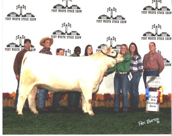 Ag team on Fort Worth Stock Show stage with prize heifer