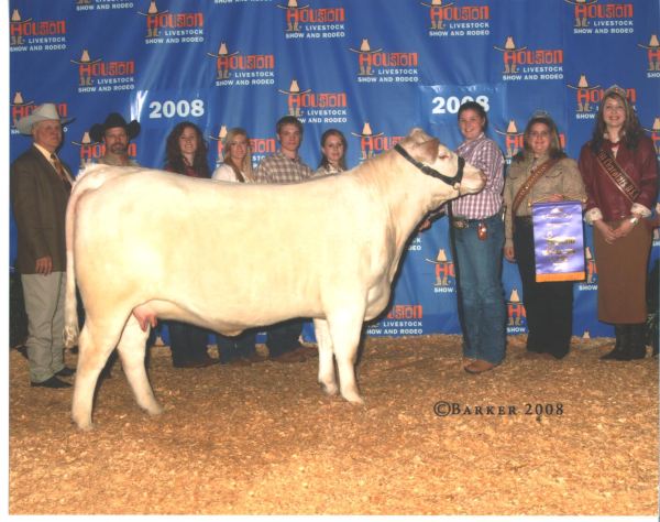 Prize bovine in front of ag team