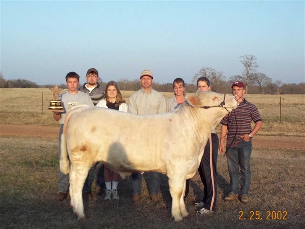 Photo: Zach H., Beau, Monica, Marc, Adrian, Cristina, and Zach T. with their Houston Livestock Show Herdsman Award and 1st place junior bull calf.