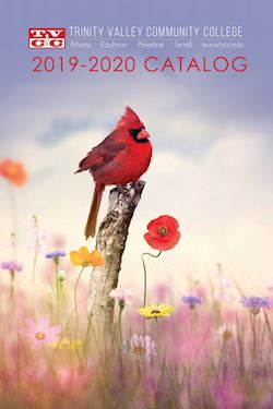 Cardinal sitting on a stump among beautiful wildflowers