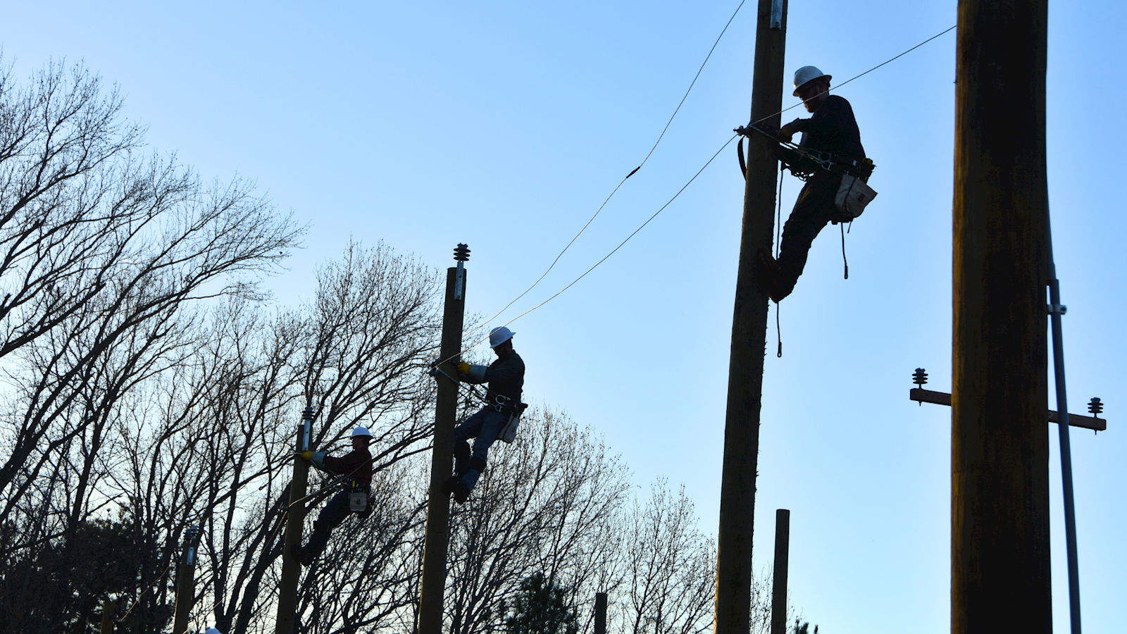 Electrical Line Worker Students                                                                                                             