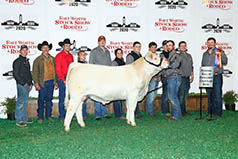 TVCC Show Team at Fort Worth Stock Show