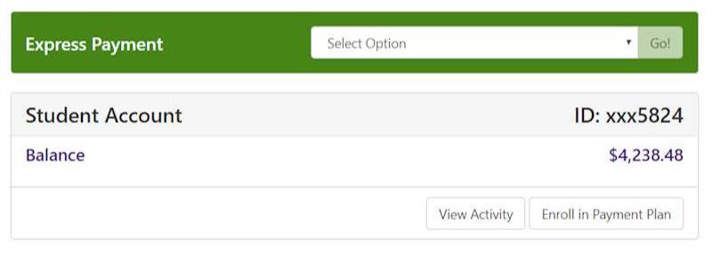 Student Account Overview