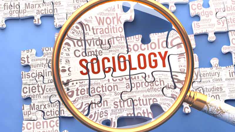 A magnifying glass focusing on pieces of a puzzle with the word Sociology on it